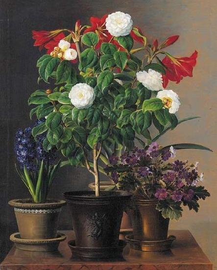 Johan Laurentz Jensen Camelias, amaryllis, hyacinth and violets in ornamental pots on a marble ledge China oil painting art